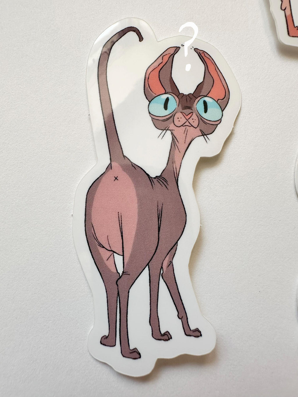 Sphynx Cat Sticker Set - 5 Stickers