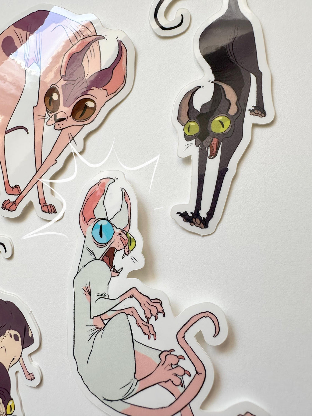 Sphynx Cat Sticker Set - 5 Stickers