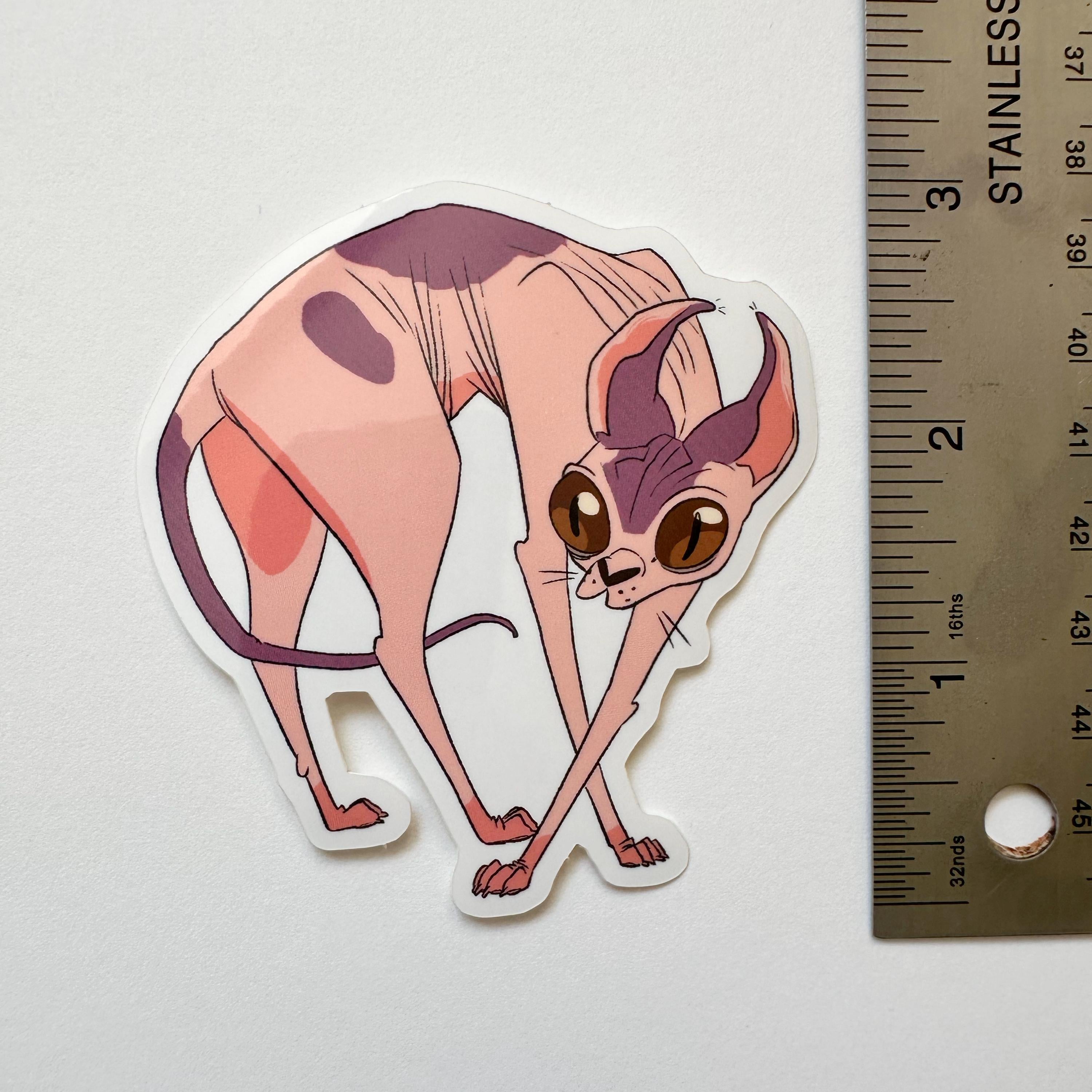 Sphynx Cat Sticker Set - 5 Stickers