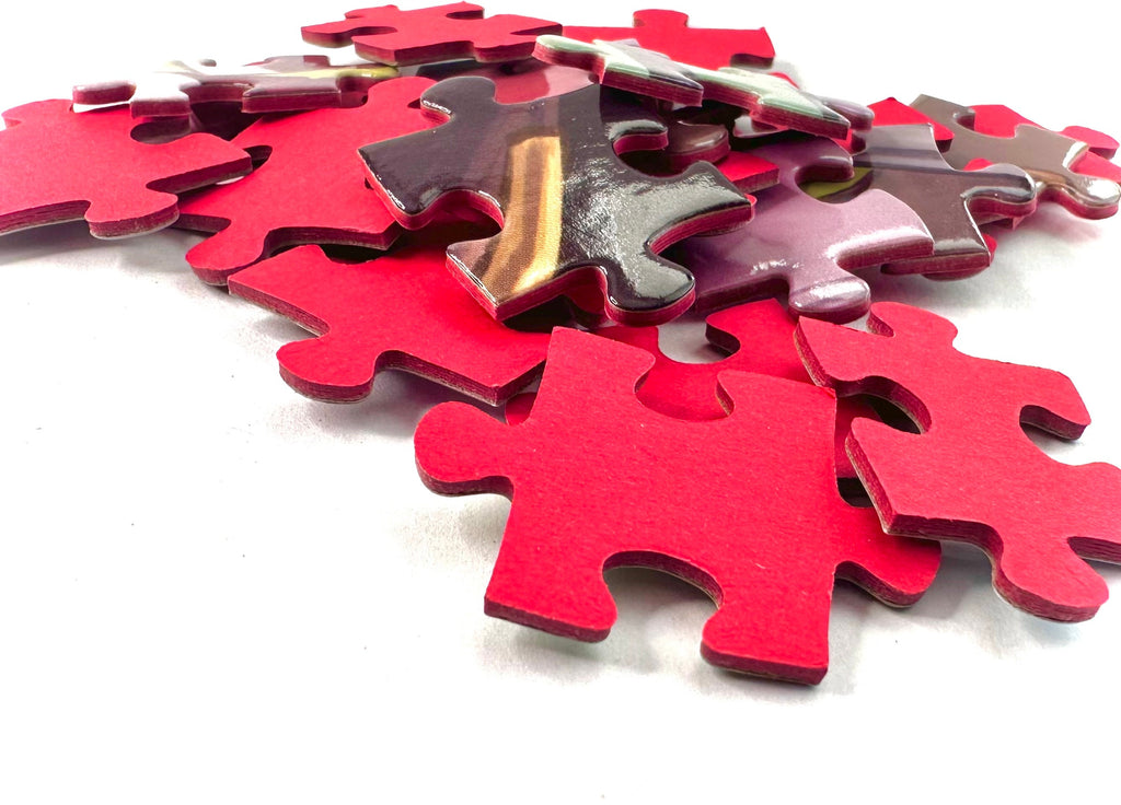 Limited Edition Jigsaw Puzzle - "Doctor Plush" - 500 Pieces